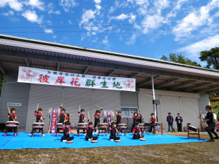 羽黒山彼岸花の里まつり