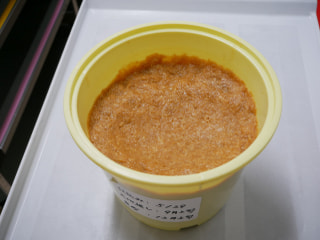 食育活動（味噌作り）天地返し編