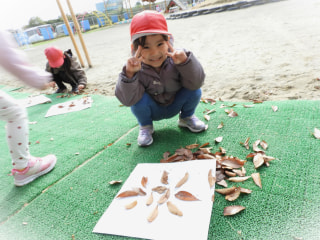 🍂落ち葉であそぼう🍂