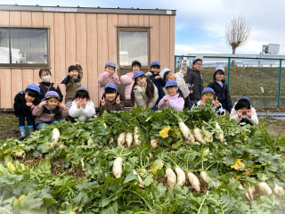 食育活動（大根掘り）