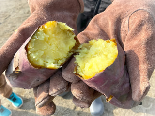 🍠やきいも会🍠