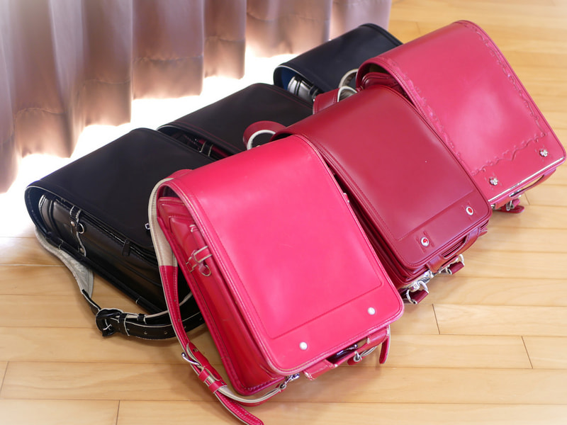 🚦交通安全教室🚦 - わんぱく日記